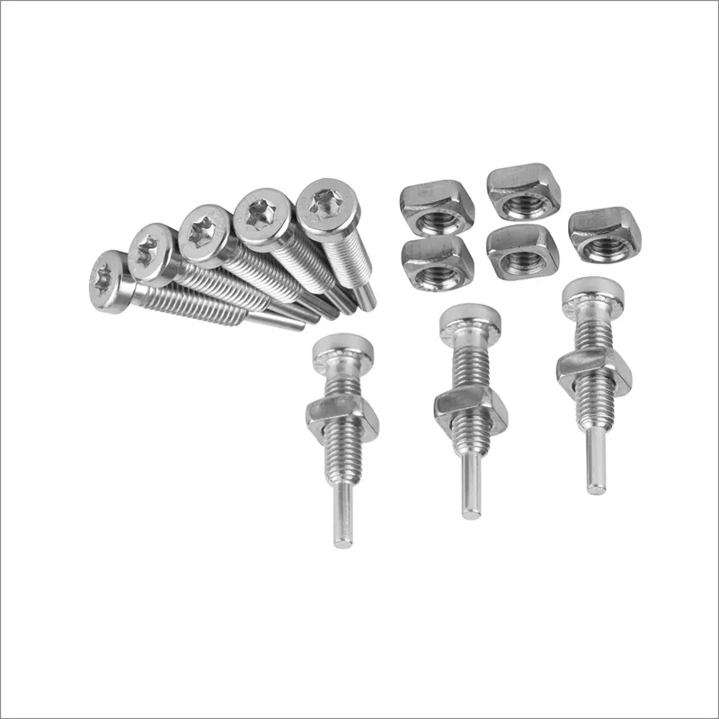 Customized screw M8*42.5 Solar mounting screw SUS304