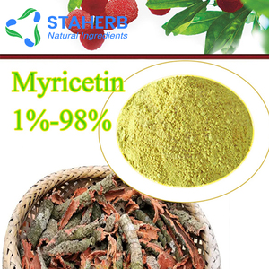 Myrica rubra chiết xuất myricetin myric 98% hplc myrica rubra Đỏ bayberry Arbutus waxberry - Product Image 2
