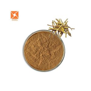 Estratto di corteccia phellodendron amurense estratto di corteccia Phellodendri chinensis estratto di corteccia Phellodendri - Product Image 5