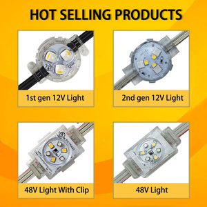 Outdoor Permanent Christmas Light Waterproof 48V <strong>Led</strong> Point Controller <strong>Programmable</strong> Addressable <strong>String</strong> Pixel Light - Product Image 5