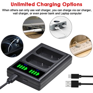 DMW-BLF19 dmw BLF19PP BLF19e DMWBLF19 BLF19 LED USB คู่สำหรับ PANA Sonic LUMIX DC-GH5 DMC-GH3 GH3K GH4 GH4K - Product Image 6