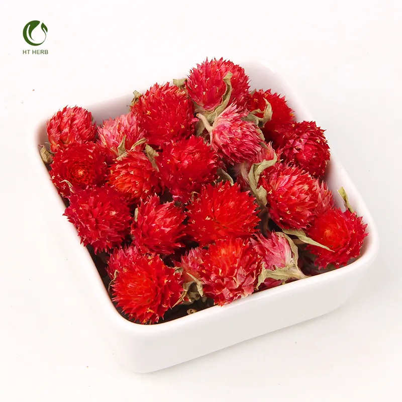 Penjualan Terbaik bunga merah kering global Amaranth organik 100% Gomphrena globosa