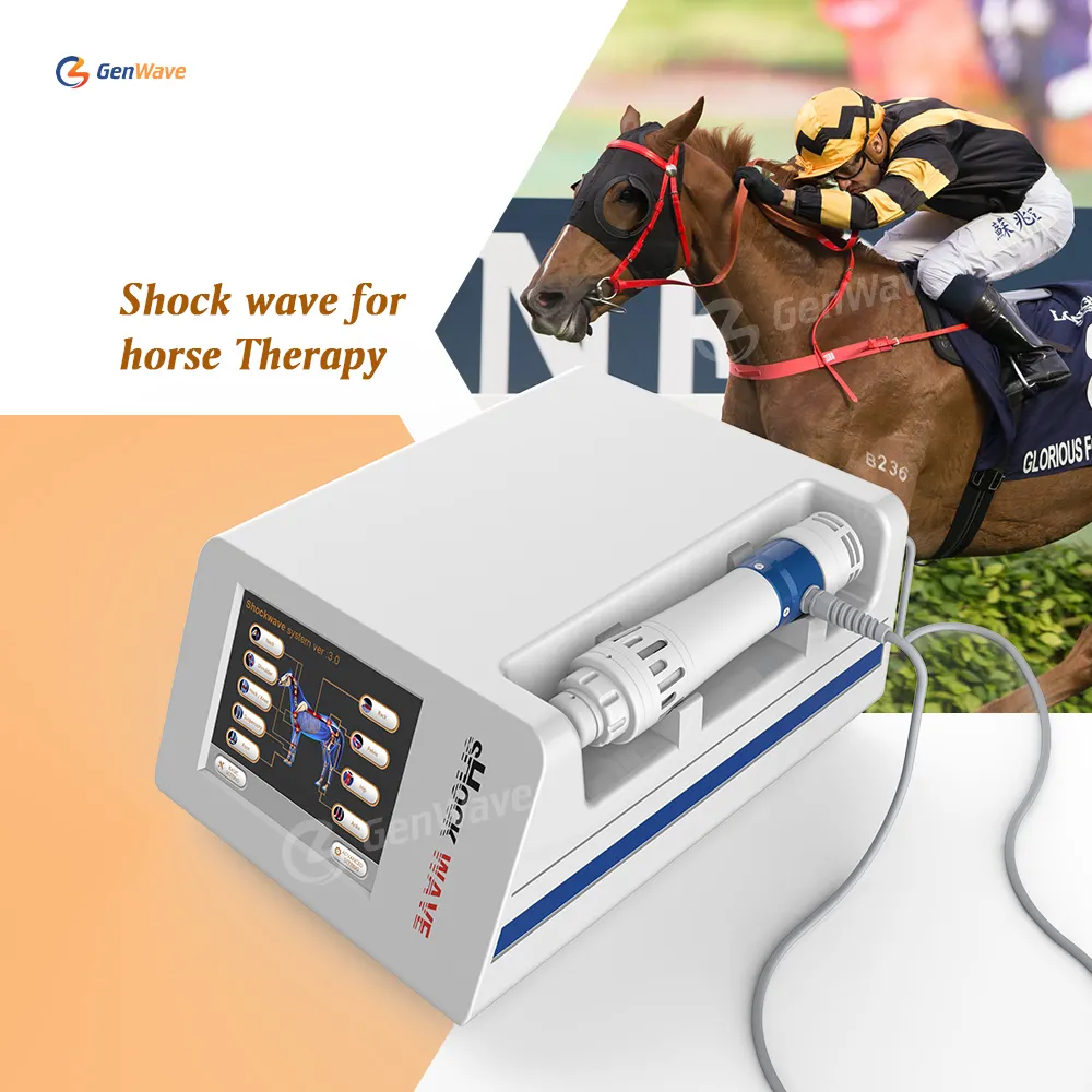 Ausrüstung für die Stoßwellen therapie von Pferden Veterinär maschine Schmerz linderung Elektro magnetisches Stoßwellen therapie gerät