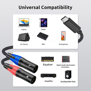 USB C a Dual XLR Cable de audio USB tipo C a XLR salida macho Adaptador convertidor de cable estéreo para altavoz amplificador, consola mezcladora