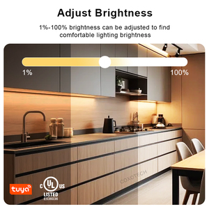 Controlador LED certificado UL para tira de luz RGB CE Rohs música Zigbee Wifi Tuya Rgb controlador Led - Product Image 4