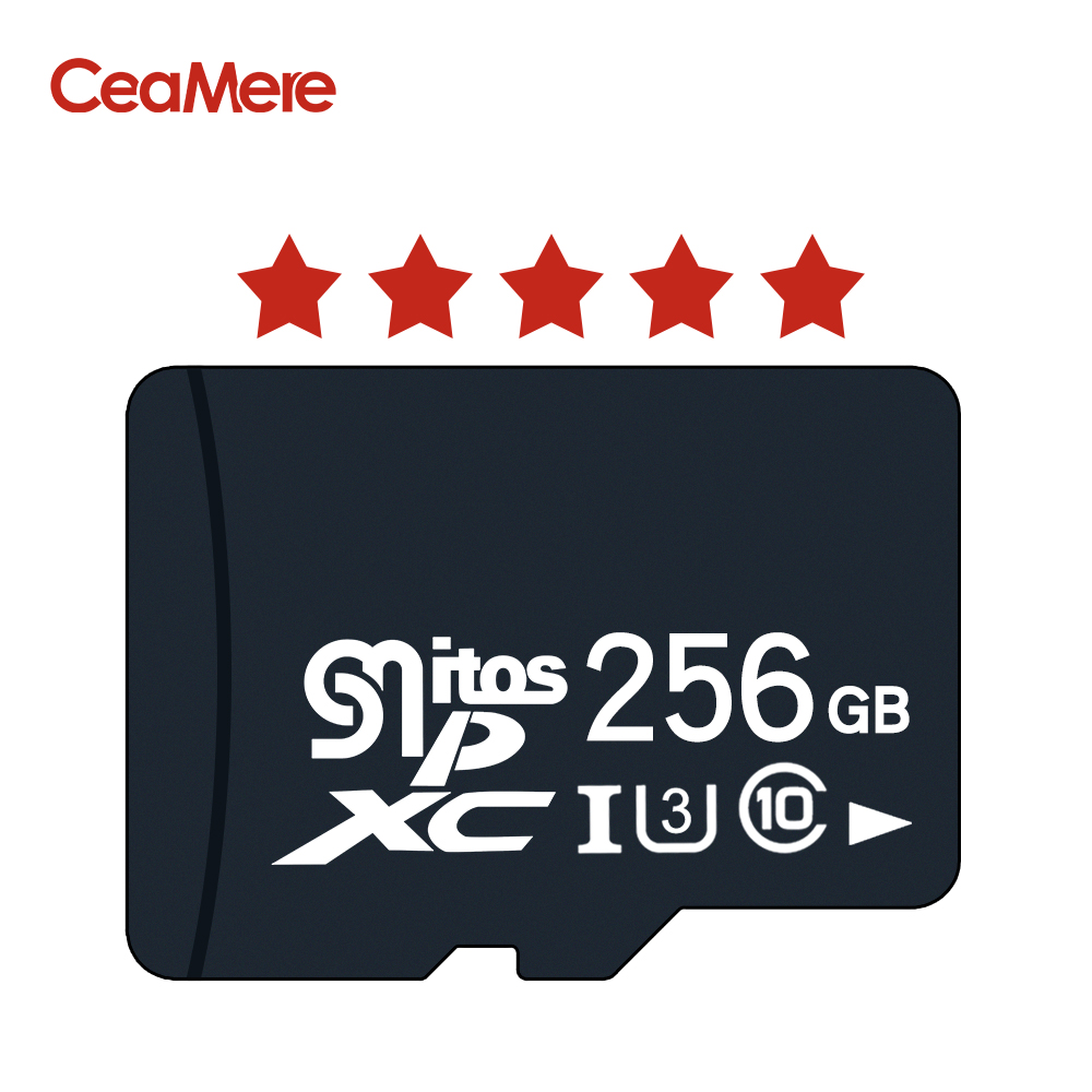 256 Go C10 U3