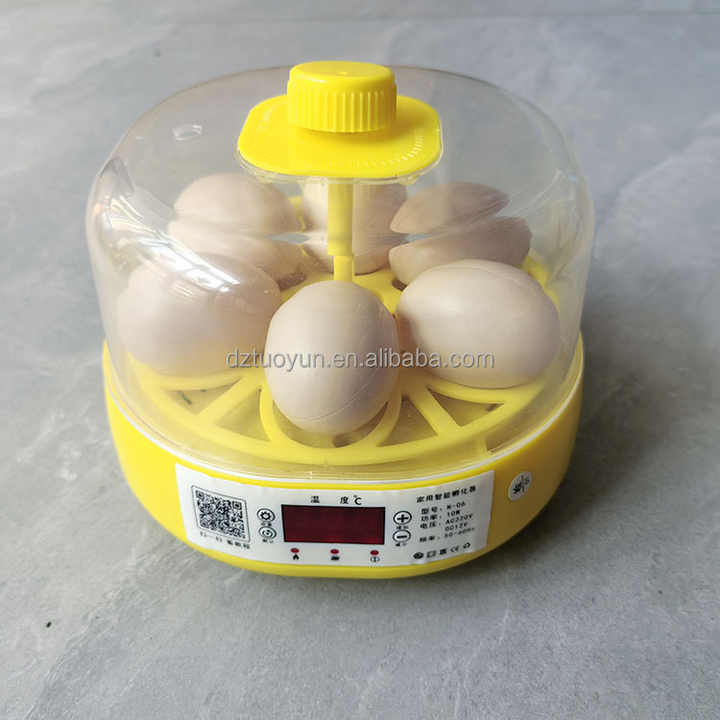 TUOYUN Best Sell 6 Coyel 1 Year Automatic Egg Incubator Chicken Eggs Mini Machine for Regiform