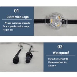 Yıl boyunca noel süslemeleri için RGBW yayan renk Wifi Spi denetleyicisi ile Twinklight IP68 su geçirmez açık hava LED ışıkları - Product Image 4