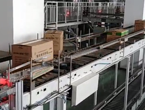 <strong>Automated</strong> Parcel/Cartons Sorting <strong>System</strong> - Product Image 4