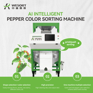 WESORT, superventas, productos de tamaño pequeño y mediano, máquina clasificadora de granos, máquina clasificadora de granos de cacao, máquina clasificadora de granos - Product Image 6