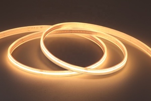 BEST SELLING <strong>LED</strong> STRIP LIGHT CSP <strong>LED</strong> STRIP RGB RGBW RGBCCT STRIP CSP 24V 2700-6500K - Product Image 2