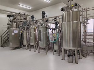 Pilto Fermenter Bio reaktor chemischer Reaktor Edelstahl Edelstahl Reaktoren Rührkessel 100L