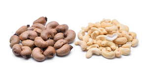 Cashewnuss-Schälmaschine und Cashewnuss-Sortiermaschine zum Trennen von Schalen und Kernen - Product Image 5