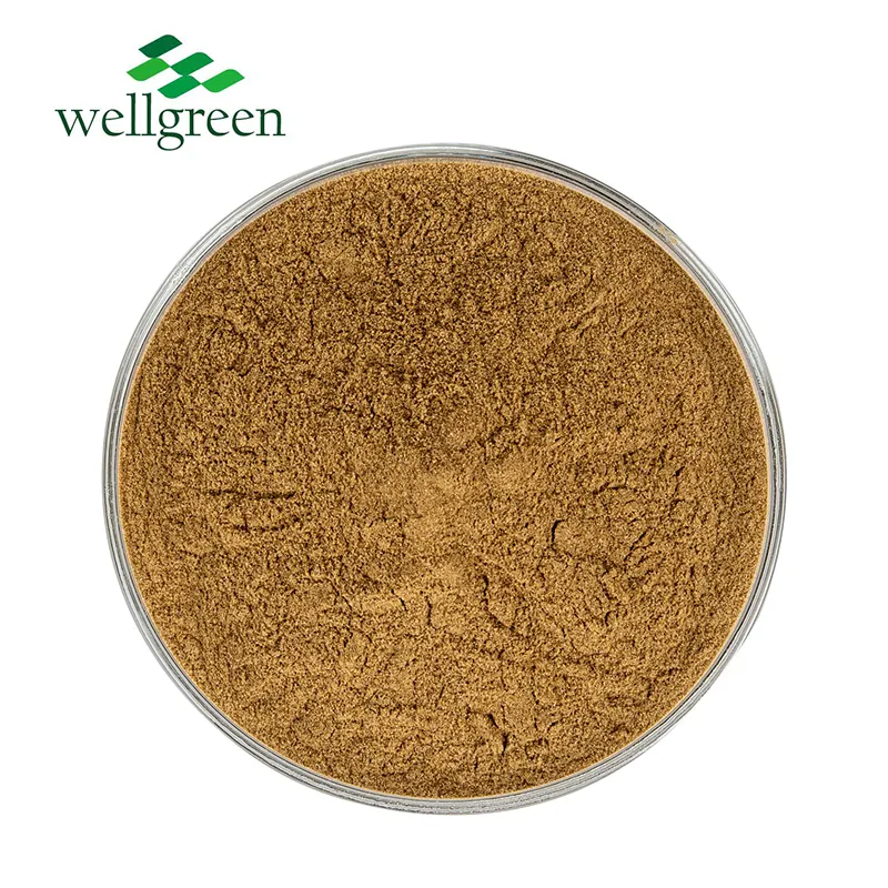 Extrait de fines herbes Wellgreen prix en vrac extrait de camomille d'apigénine biologique séchée