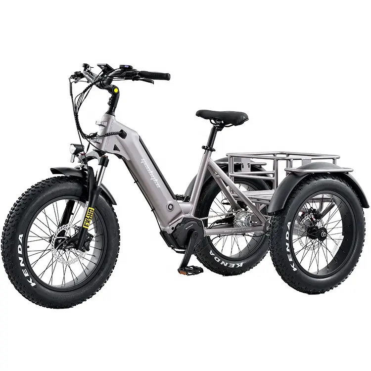 20 pollici elettrico Trike Fat Tire 3 ruote triciclo elettrico adulto Cargo bici elettrica con cestino