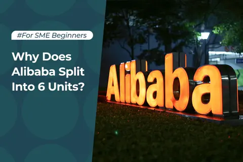 Why Does Alibaba Split Into 6 Units?