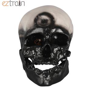 GelsonLab <strong>Human</strong> Skull Model of 8 Kinds Apeman - Product Image 2