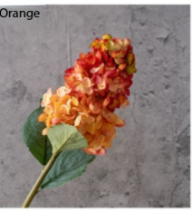 Naranja