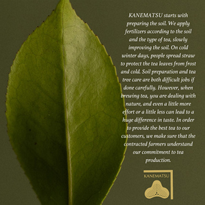 Hot Sale Japanischer Matcha Standard AA Zeremonieller Grüntee Matcha Pulver Bio Japan Matcha - Product Image 5