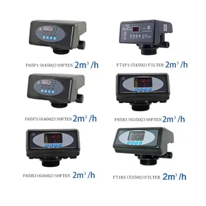Valvola di controllo RUNXIN addolcitore d'acqua valvola di filtraggio automatica testa valvola multifunzione ammorbidente F116Q3 F116Q1 - Product Image 2