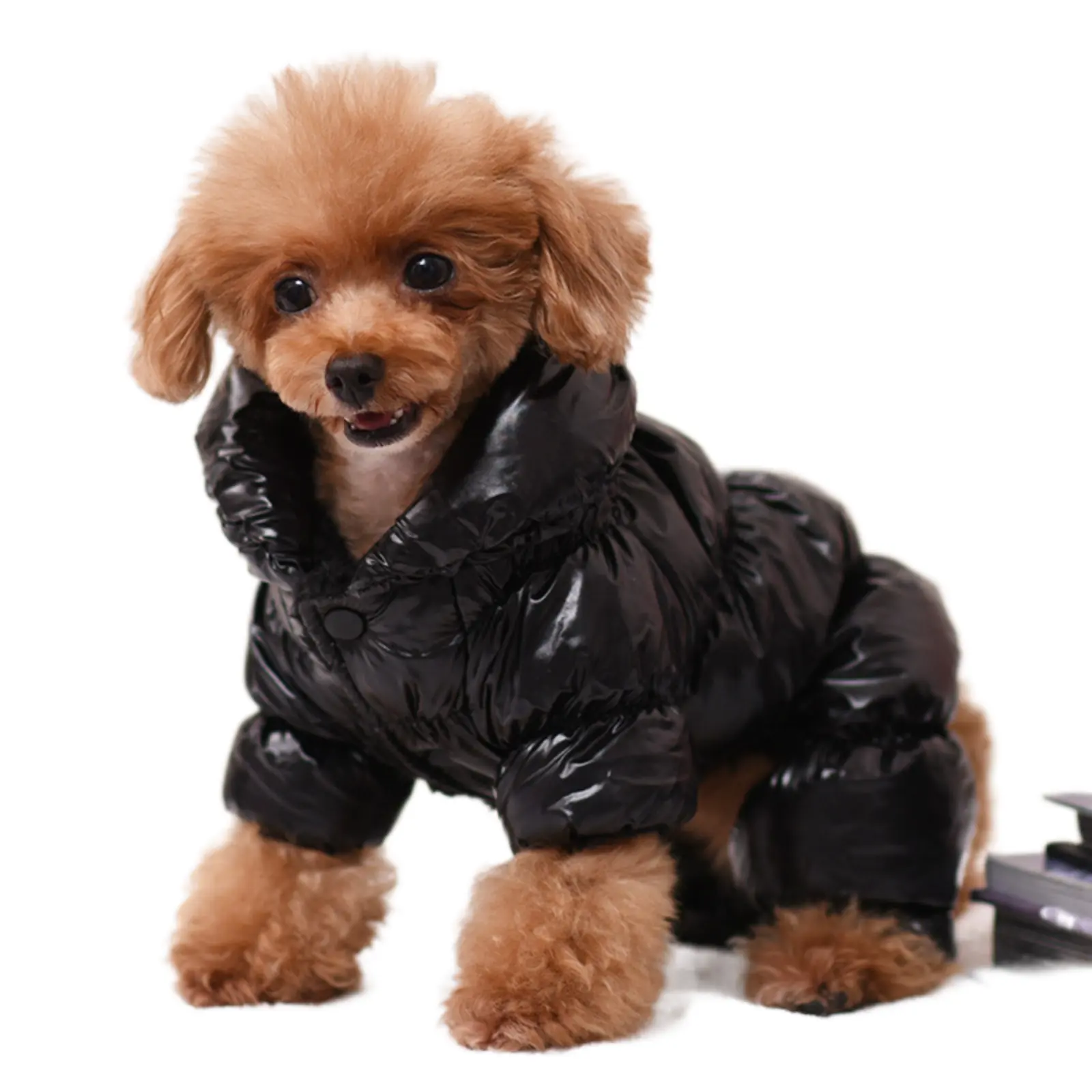 Fashion Solid Color Winter High Collar Padded Pet Down Jackets Dog Clothes