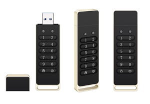 Best Selling Digital USB <strong>Flash</strong> Disk AES256-bit Hardware Password <strong>Encrypted</strong> USB <strong>Memory</strong> Stick OEM ODM OBM Customization DIY Design - Product Image 3