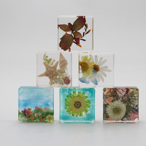 Embedded Sea <strong>Shells</strong> Sea <strong>Shell</strong> Specimen Large Sea <strong>Shells</strong> in Resin - Product Image 5