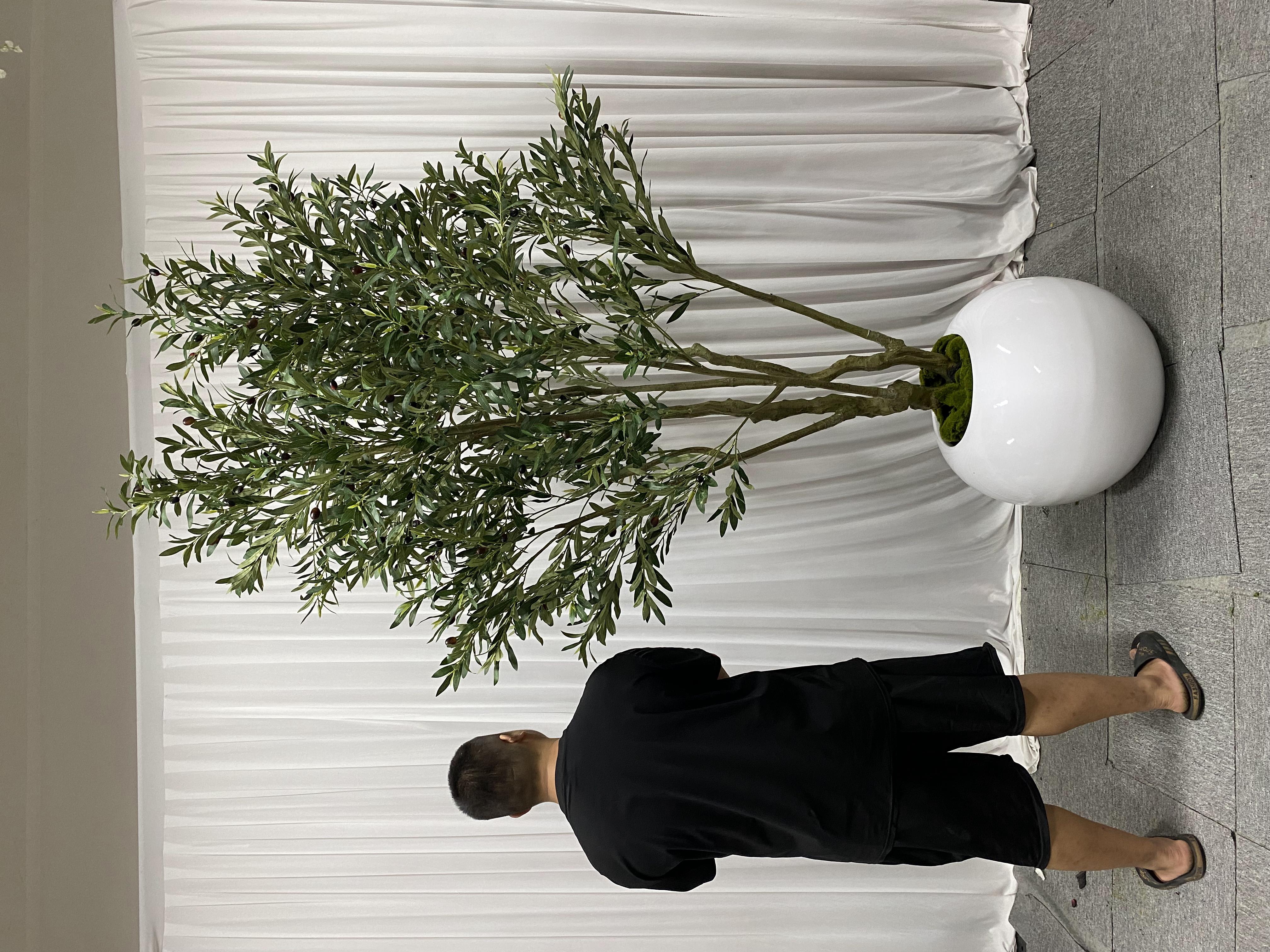 2.5M/8.20Ft; Avec le pot
