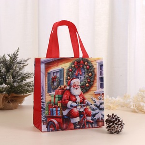 Christmas Light <strong>String</strong> Bags Battery LED Decoration Evening Event Promotional Glow Effect - Product Image 5
