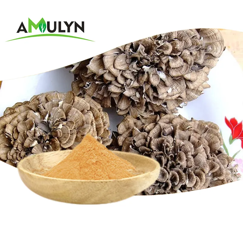 Amluyn 중국 제조자 유기 Grifola frondosa Maitake 버섯 추출물