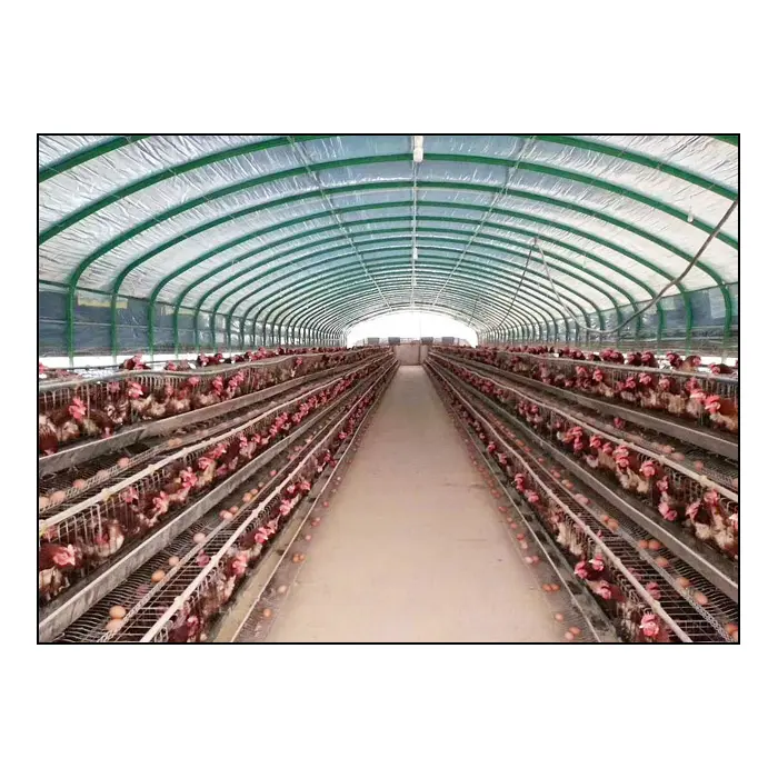 Granja de pollos de acero prefabricado, casa de aves de corral para 10000 pollos