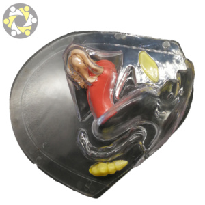 Transparente PVC Menstrual Cup Demo Modelo Planejamento Familiar Anatomia Uterina para Escolas Médicas e Educação - Product Image 2