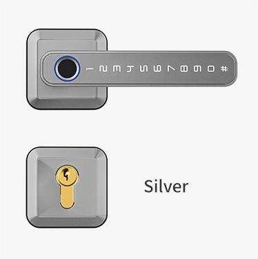 Silver