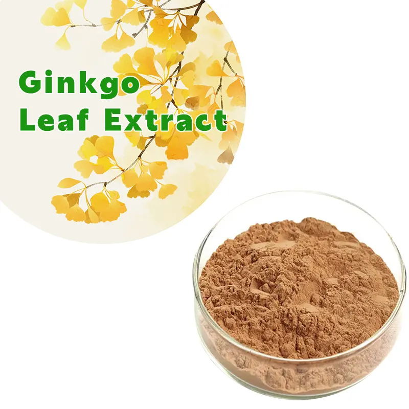 Estratto di GinkgolicAcid in polvere Ginkgo Biloba tutti gli standard disponibili estratto vegetale