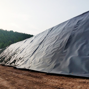 Hdpe Lldpe Garnalen Viskwekerij Vijver 0.5Mm 0.75Mm 1Mm 1.5Mm 2Mm 3Mm Geomembrane Dam Voering Prijs - Product Image 2