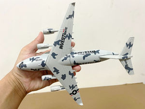 収集用の飛行機のおもちゃのスケールモデル飛行機のカスタマイズ - Product Image 3