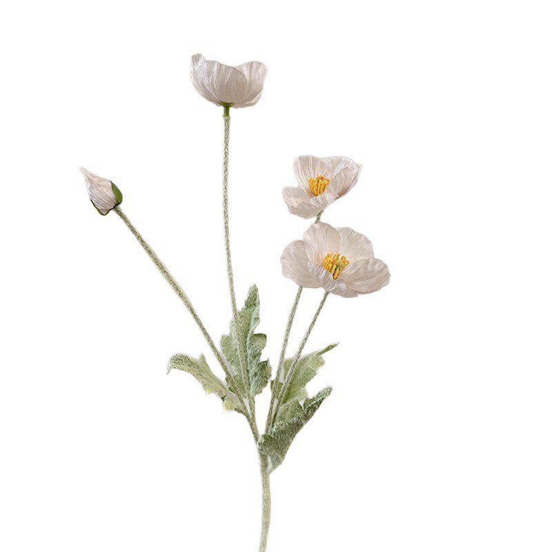 Rose pâle