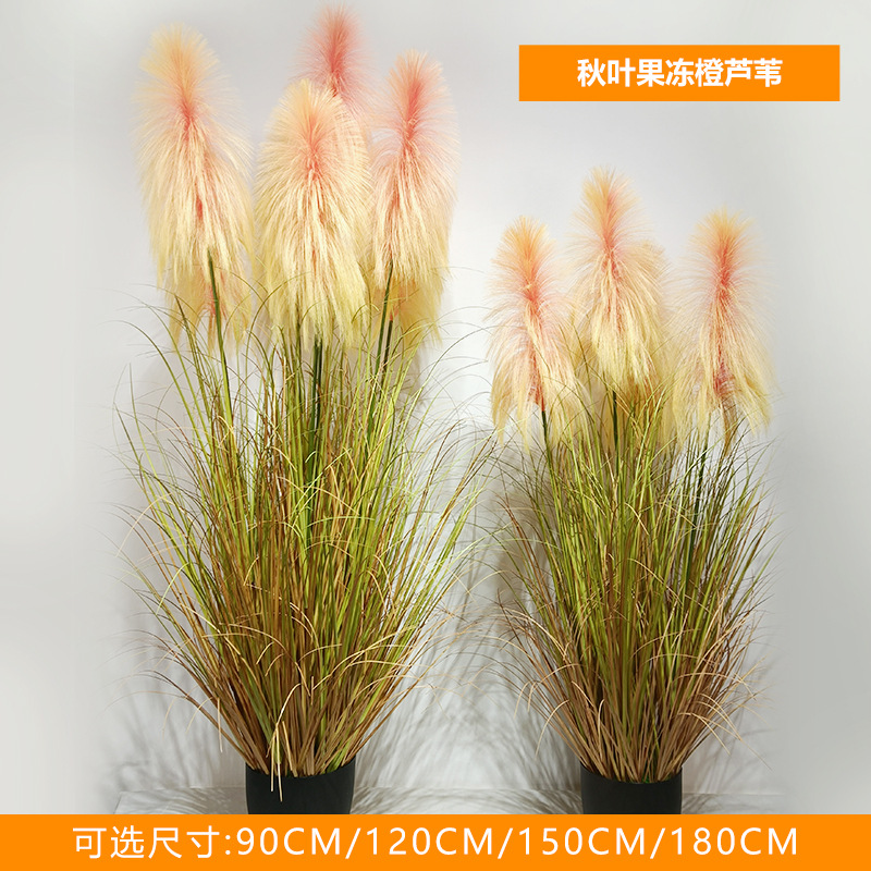 Roseau orange en gelée de feuilles d'automne