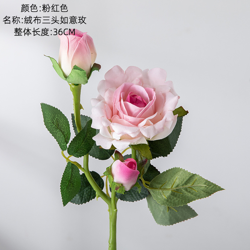 ชมพู 1