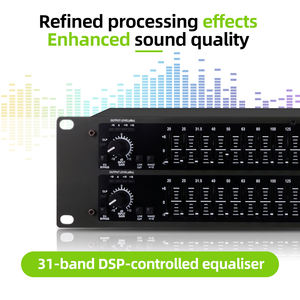 Rayhayes 231อุปกรณ์เสียงระดับมืออาชีพคุณภาพสูง31แบนด์พร้อมไมโครโฟนบันทึกเสียง - Product Image 4