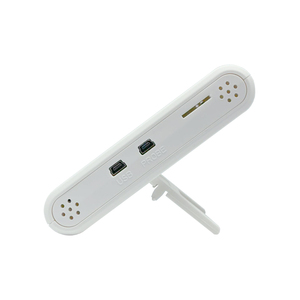 Sensor LCD grande de temperatura y humedad, DWL-20 con alarma de sonido y luz, registrador de datos para almacenamiento - Product Image 4