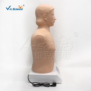 Full-automatic Heart-lung <strong>Palpation</strong> and Auscultation Computer Simulator Stand-alone Version - Product Image 5