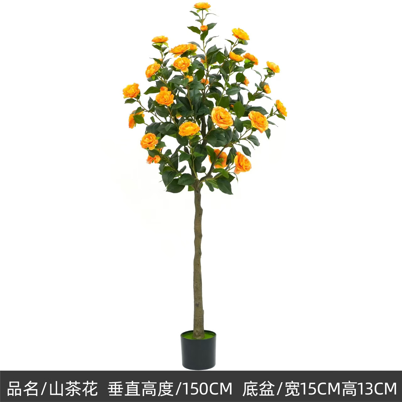 150cm camélia, orange