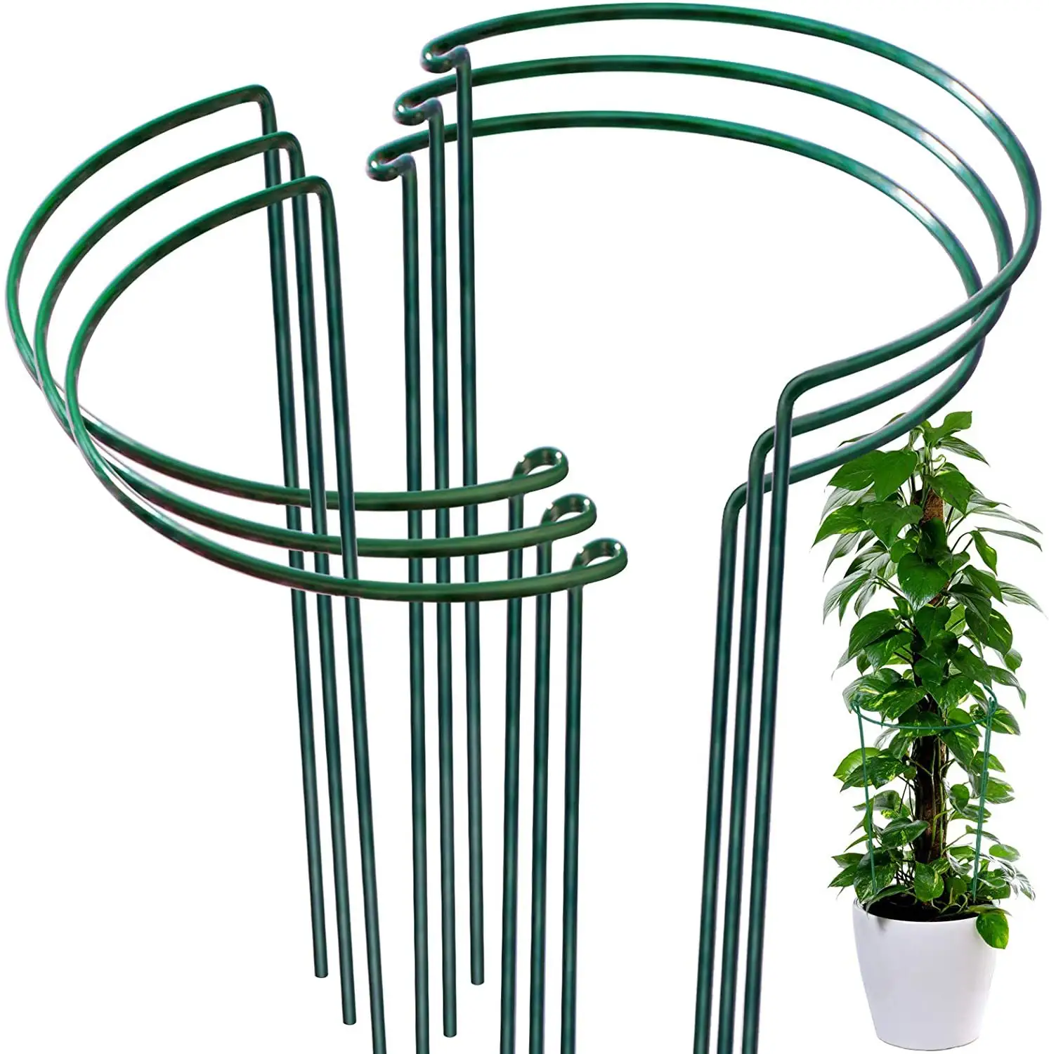 Meia rodada jardim suporte planta estacas Metal tipo arco flor suportes