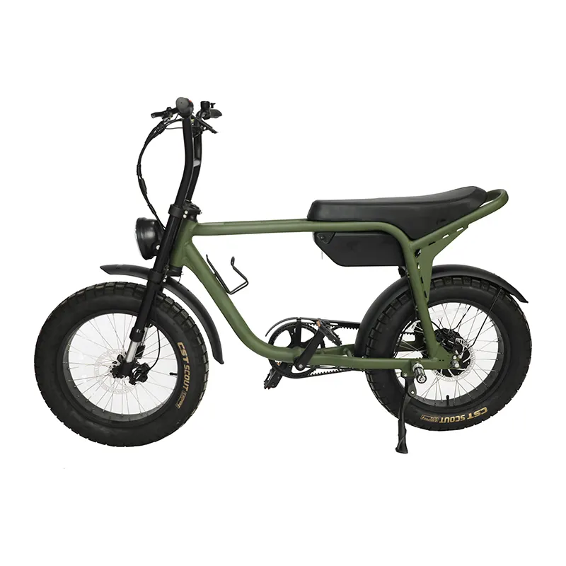 20 Inch Ánh Sáng Trọng Lượng Chất Béo Lốp Ebike Điện Xe Đạp Bụi Bẩn Điện Bãi Biển Cruiser Vành Đai Ổ Đĩa Chopper Ebike