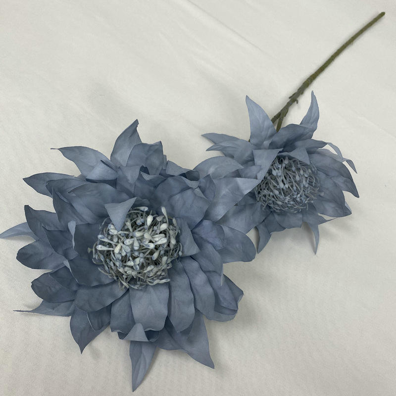 2 high mountain snow lotus