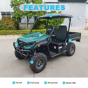 New <strong>EEC</strong> Approved 4x4 Electric <strong>UTV</strong> with Automatic Transmission - Product Image 5