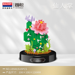18500-cactus-615 piezas
