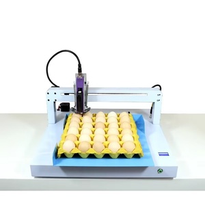 Automatic Single Color Egg <strong>Ink</strong> Jet Printer for <strong>Coding</strong> <strong>Print</strong> Date and Stamping Expiry Code on Metal and Cartons - Product Image 2