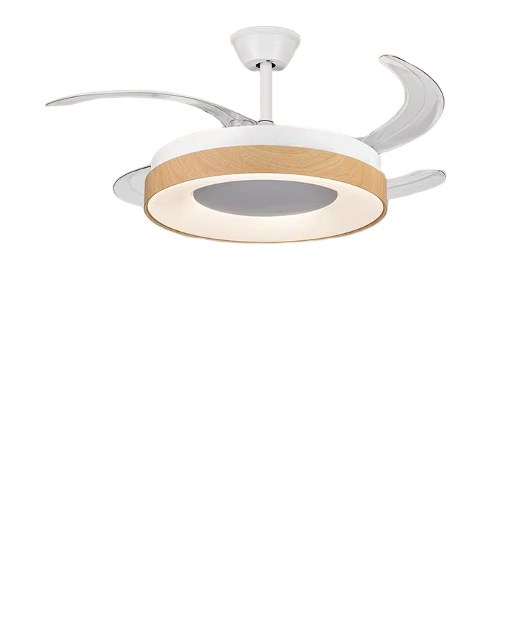 white+48